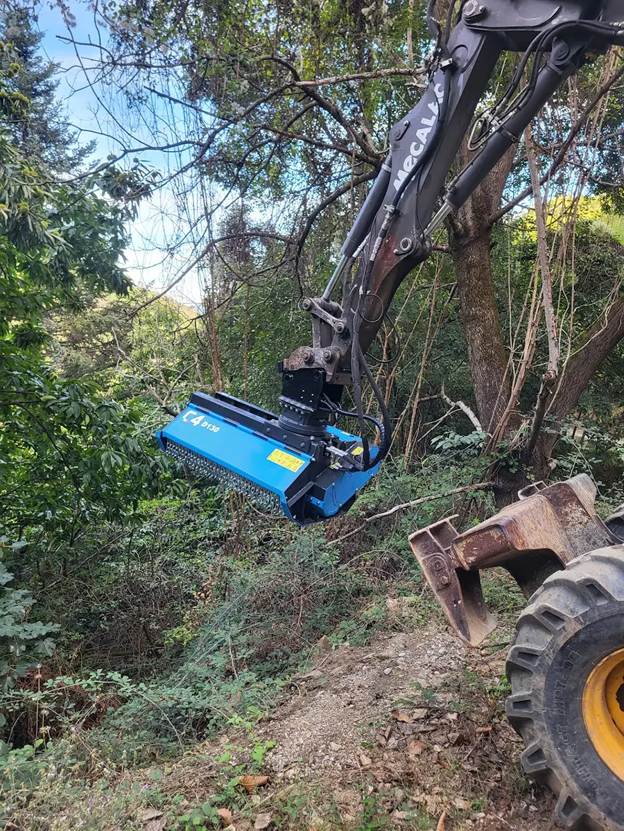 HMS Rodez Foresterie ()